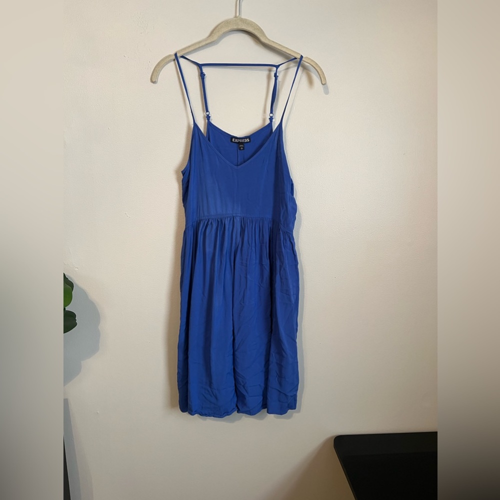 Women’s Blue Express Dress (Size Small)